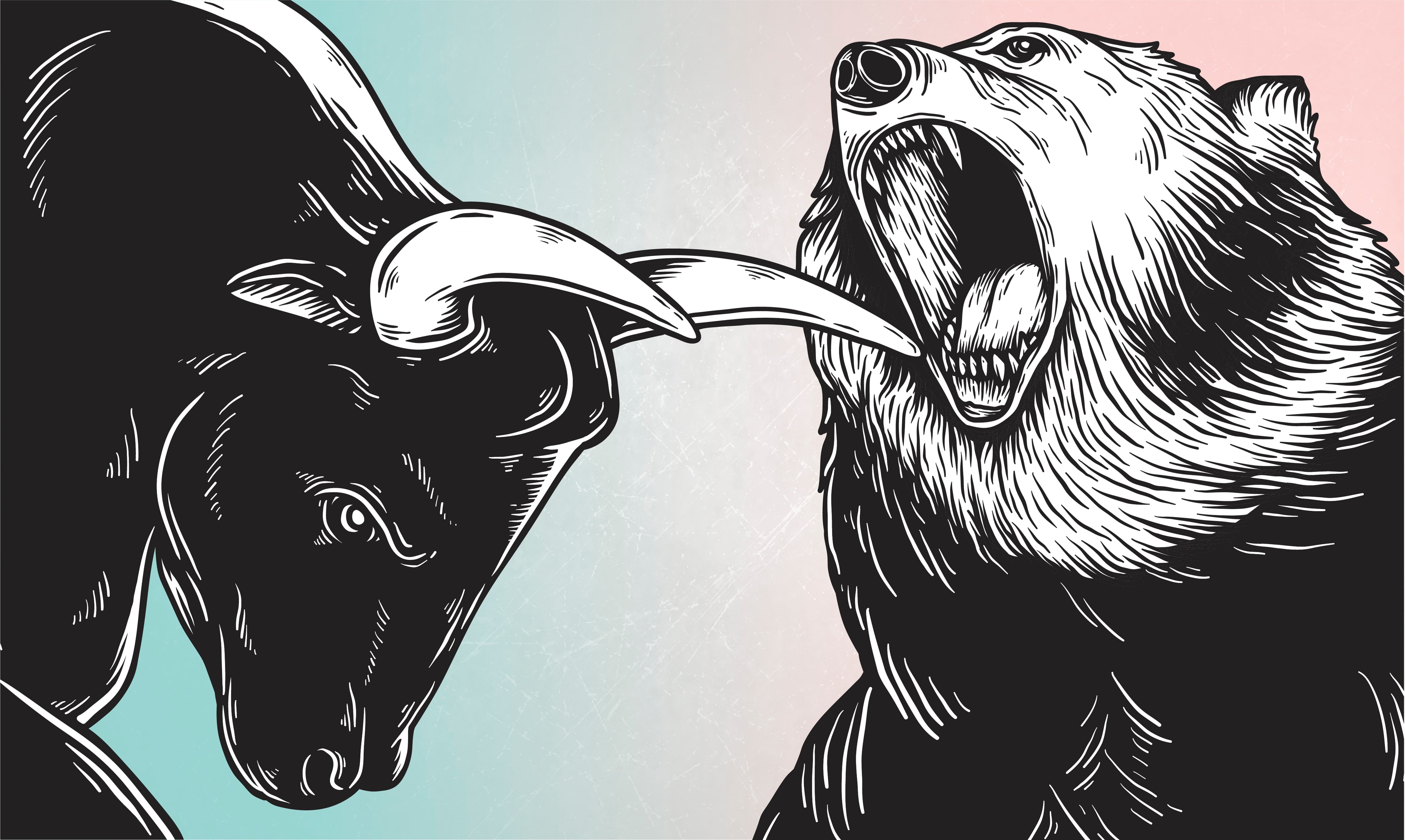 Bull and bear facing off — financial markets illustration