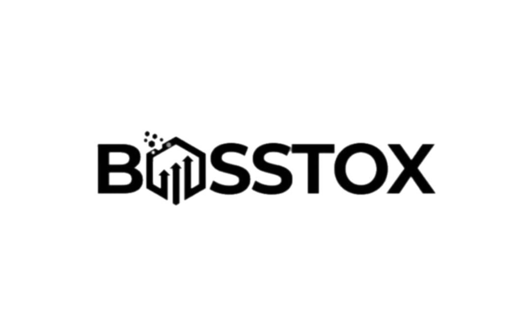 Experience Convenient and Secure Mobile Banking with Bosstox by Boston Made